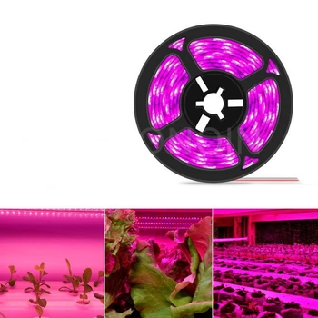Светодиодная Лента Grow light SMD 3 М-15 М Полный Спектр Светодиодных Фито-Ламп Для Выращивания Цветочных Растений В теплице Для Выращивания Гидропонных растений  10